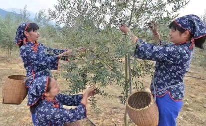 图片 5.png 图片 5.png